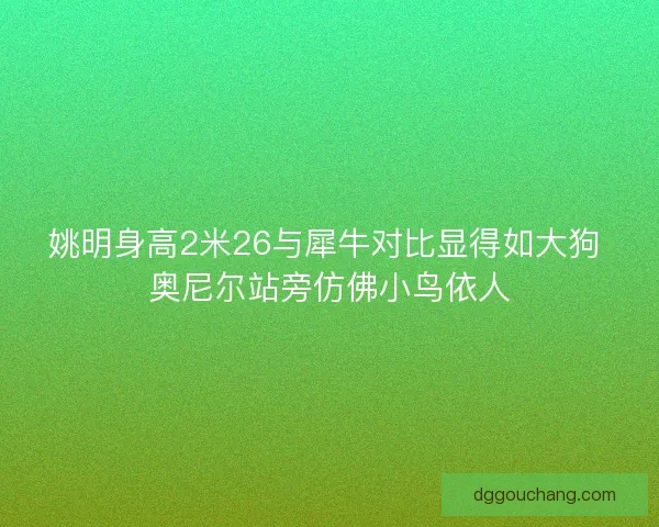 姚明身高2米26与犀牛对比显得如大狗 奥尼尔站旁仿佛小鸟依人